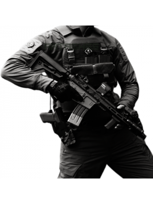 Поло Лонгслив Emersongear BlueLabel UMP Frogmen