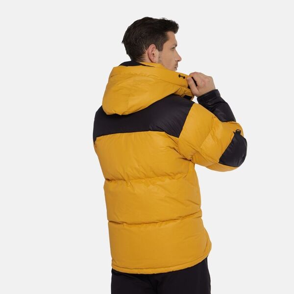Куртка DENALI WINTER APEX, цвет Yellow/Black