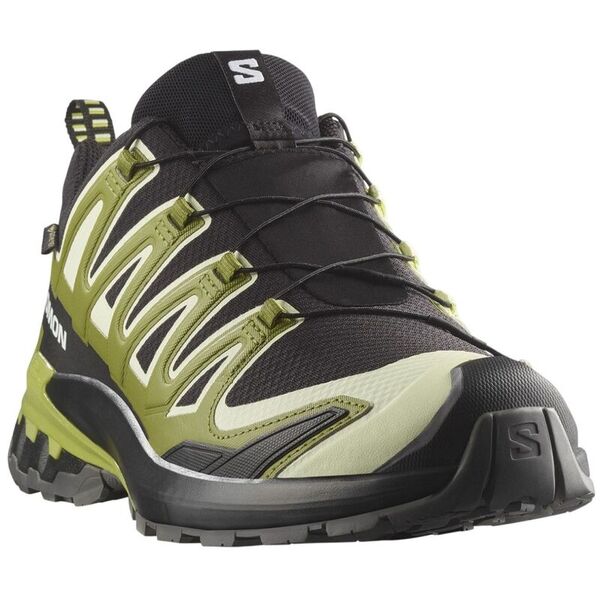 Кроссовки XA PRO 3D V9 GTX Salomon, цвет Black/Lime Cream
