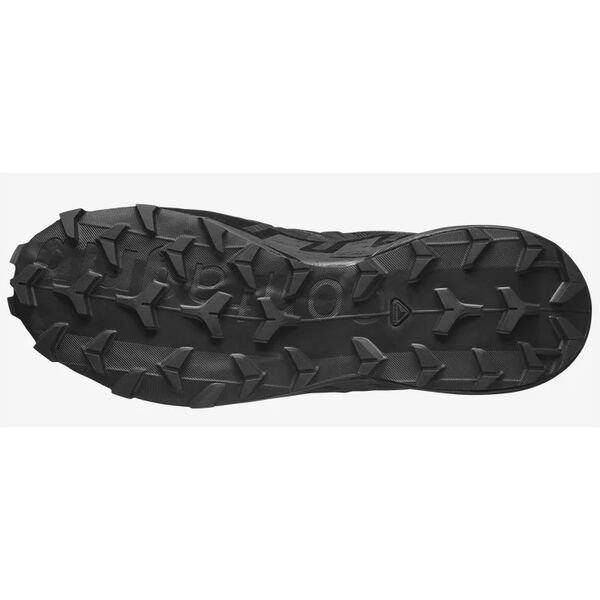 Ботинки Speedcross 6 Forces Salomon, цвет Black