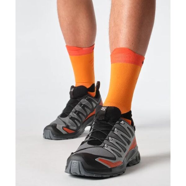 Кроссовки XA PRO 3D V9 GTX Salomon, цвет Turbulence/Black