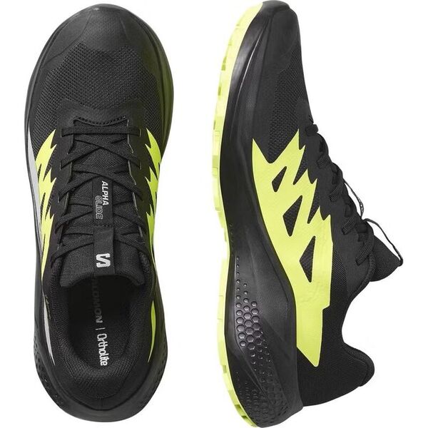 Кроссовки Alphaglide GTX Salomon, цвет Black/Alloy