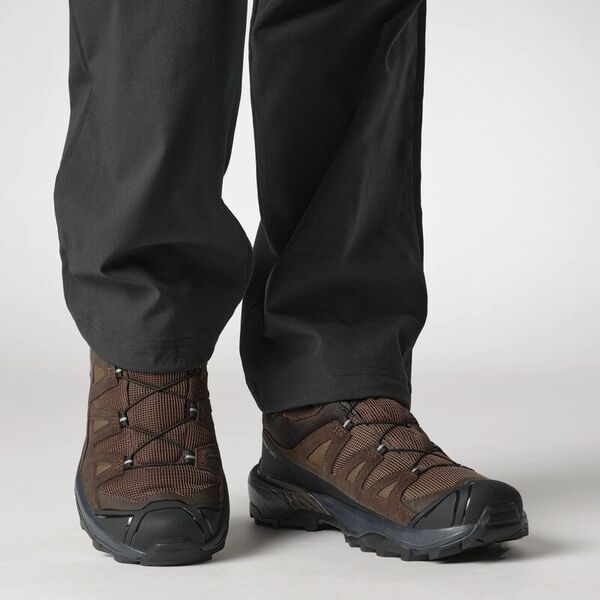 Кроссовки X ULTRA 360 LTR GTX Salomon, цвет Dark Earth/Delicioso