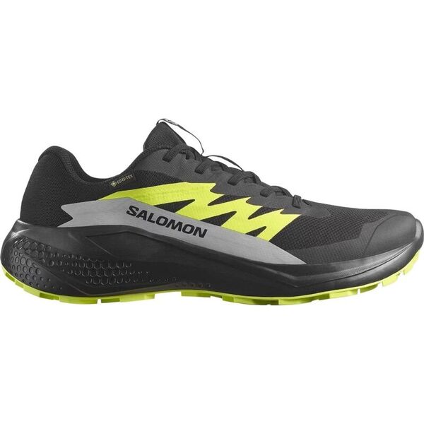 Кроссовки Alphaglide GTX Salomon, цвет Black/Alloy