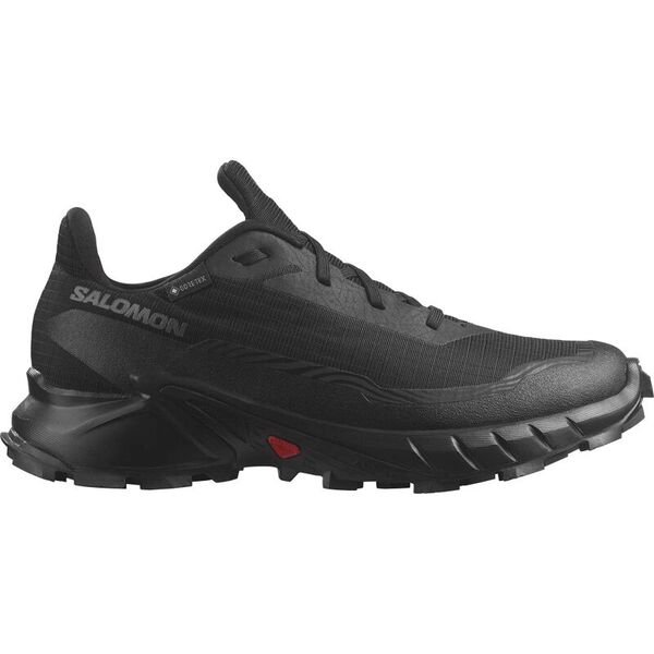 Кроссовки ALPHACROSS 5 GTX Salomon, цвет Black/Ebony