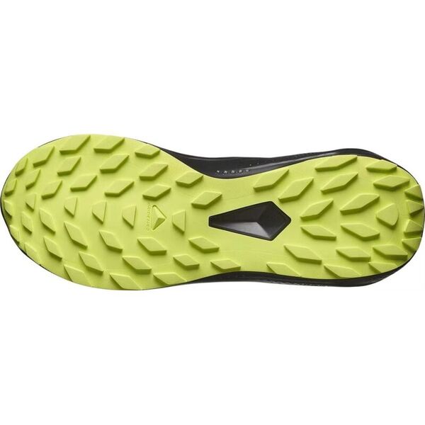 Кроссовки Alphaglide GTX Salomon, цвет Black/Alloy