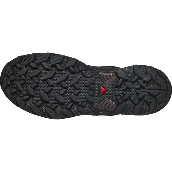 Кроссовки X ULTRA 360 LTR GTX Salomon, цвет Dark Earth/Delicioso