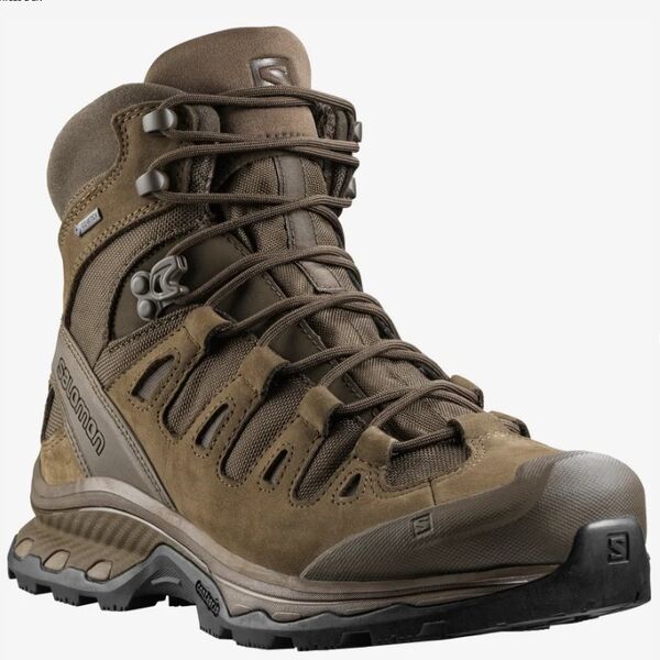 Ботинки Quest 4D GTX Forces 2 EN Salomon, цвет Earth Brown