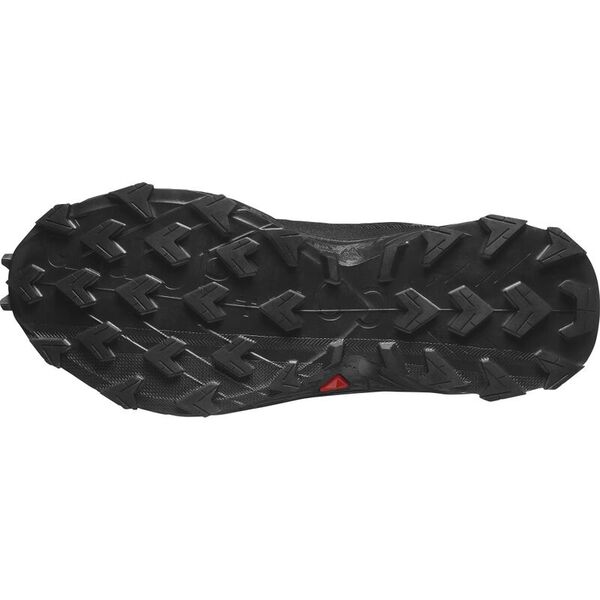 Кроссовки ALPHACROSS 5 GTX Salomon, цвет Black/Ebony