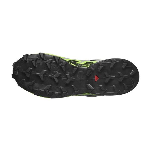 Кроссовки Speedcross 6 GTX Salomon, цвет Black/Alloy