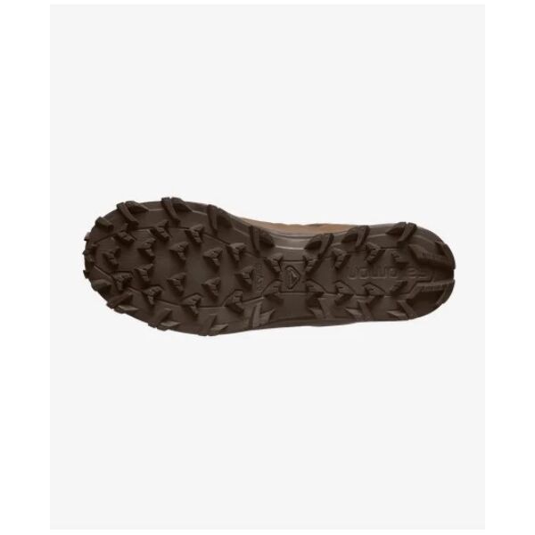 Ботинки Speed Assault 2 Salomon, цвет Earth Brown