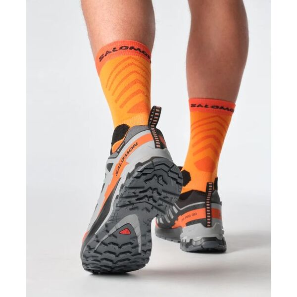 Кроссовки XA PRO 3D V9 GTX Salomon, цвет Turbulence/Black