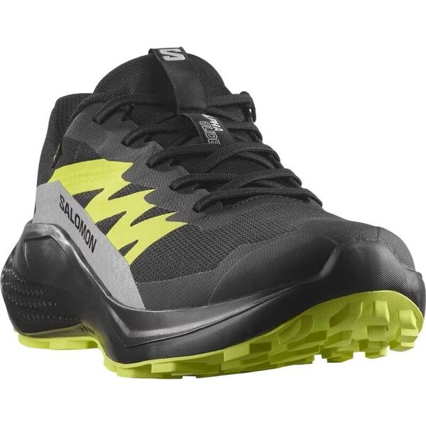 Кроссовки Alphaglide GTX Salomon, цвет Black/Alloy