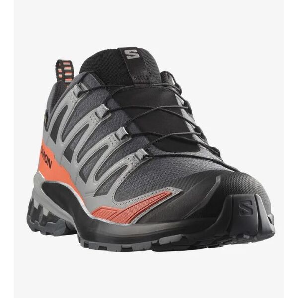 Кроссовки XA PRO 3D V9 GTX Salomon, цвет Turbulence/Black