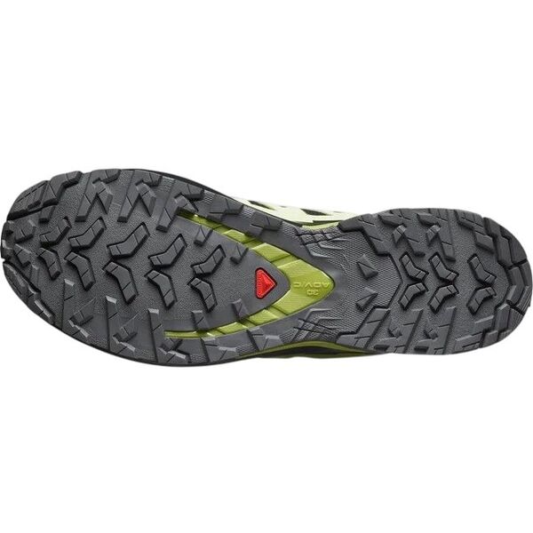 Кроссовки XA PRO 3D V9 GTX Salomon, цвет Black/Lime Cream