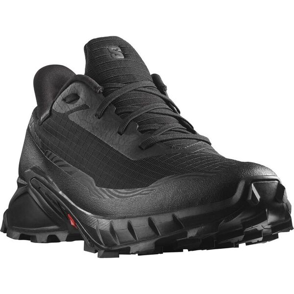 Кроссовки ALPHACROSS 5 GTX Salomon, цвет Black/Ebony