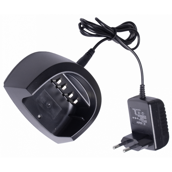 Зарядное устройство Аргут SET-43