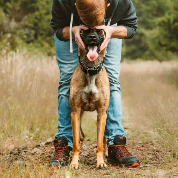 Кроссовки HAIX Connexis Go GTX Mid Black Fire