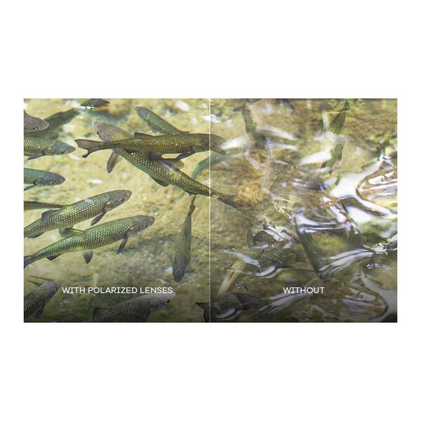 Поляризационные очки Wiley X Boss Matte Black (CAPTIVATE Polarized Blue Mirror)