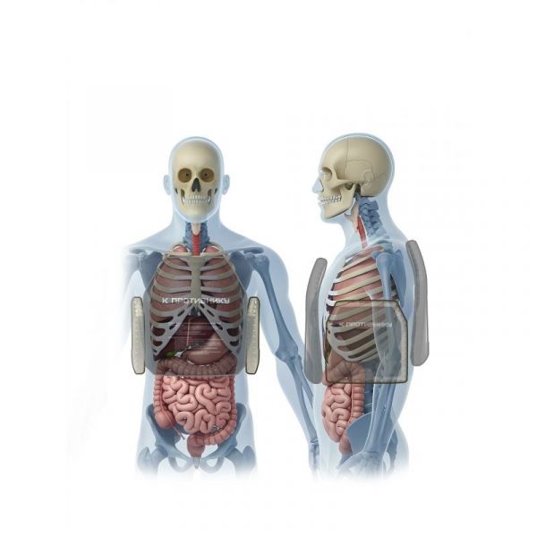 Бронепанель полимернокомпозитная Бр3+ «Полимер-Анатомия»