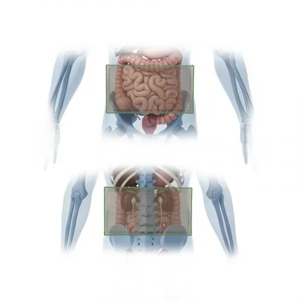 Чехол абдоминального модуля