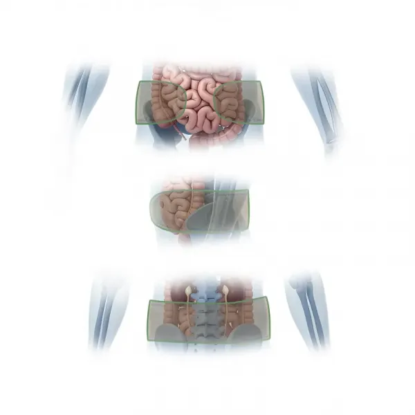 Пояс боевой классический