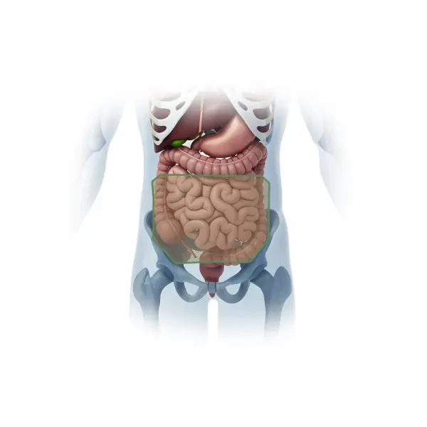 Подсумок напашный