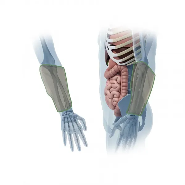 Пакеты противоосколочной защиты предплечья С2 (комплект)