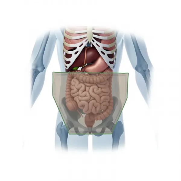 Чехол защиты паха широкий