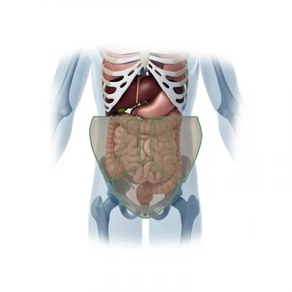 Напашник трёхлепестковый с противоосколочной защитой по классу С2