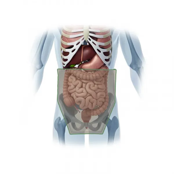 Чехол защиты паха узкий