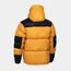 Куртка DENALI WINTER APEX, цвет Yellow/Black
