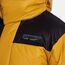 Куртка DENALI WINTER APEX, цвет Yellow/Black