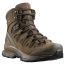 Ботинки Quest 4D GTX Forces 2 EN Salomon, цвет Earth Brown