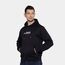 Толстовка ARCHES HOODIE APEX, цвет Black