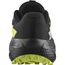 Кроссовки Alphaglide GTX Salomon, цвет Black/Alloy