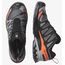Кроссовки XA PRO 3D V9 GTX Salomon, цвет Turbulence/Black