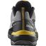 Кроссовки X ULTRA 360 GTX Salomon, цвет Castlerock/Black