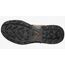 Ботинки Quest 4D GTX Forces 2 EN Salomon, цвет Earth Brown
