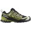 Кроссовки XA PRO 3D V9 GTX Salomon, цвет Black/Lime Cream