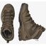 Ботинки Quest 4D GTX Forces 2 EN Salomon, цвет Earth Brown