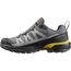 Кроссовки X ULTRA 360 GTX Salomon, цвет Castlerock/Black