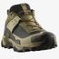 Кроссовки X ULTRA 5 GTX Salomon, цвет Martini Olive/Gray Green
