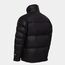 Куртка DENALI WINTER APEX, цвет Black
