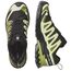 Кроссовки XA PRO 3D V9 GTX Salomon, цвет Black/Lime Cream