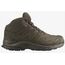 Ботинки XA Forces Mid GTX EN Salomon, цвет Earth Brown