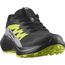 Кроссовки Alphaglide GTX Salomon, цвет Black/Alloy