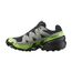 Кроссовки Speedcross 6 GTX Salomon, цвет Black/Alloy