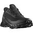 Кроссовки ALPHACROSS 5 GTX Salomon, цвет Black/Ebony