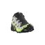 Кроссовки Speedcross 6 GTX Salomon, цвет Black/Alloy